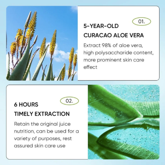 SADOER Aloe Vera Face Mousse - Daily Moisturizing Care 120ml